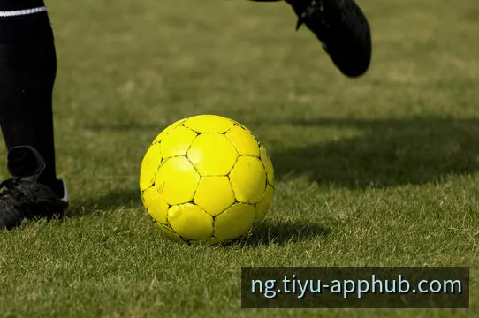 NG娱乐 官方客户端App交互预览界面